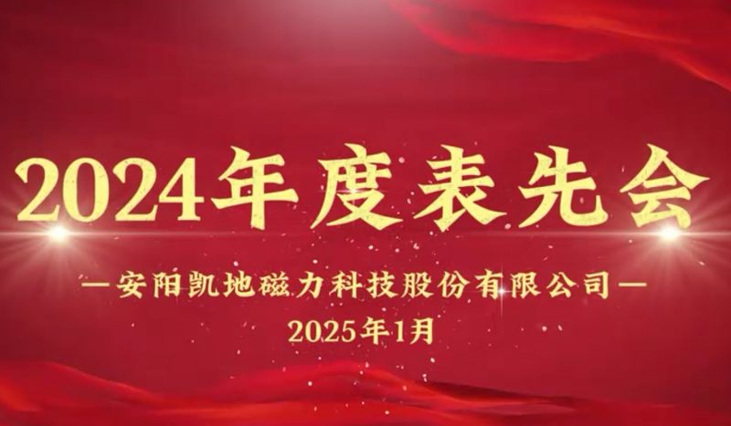 公司召開(kāi)2024年度表先會(huì)，對(duì)37名優(yōu)秀員工進(jìn)行表彰
